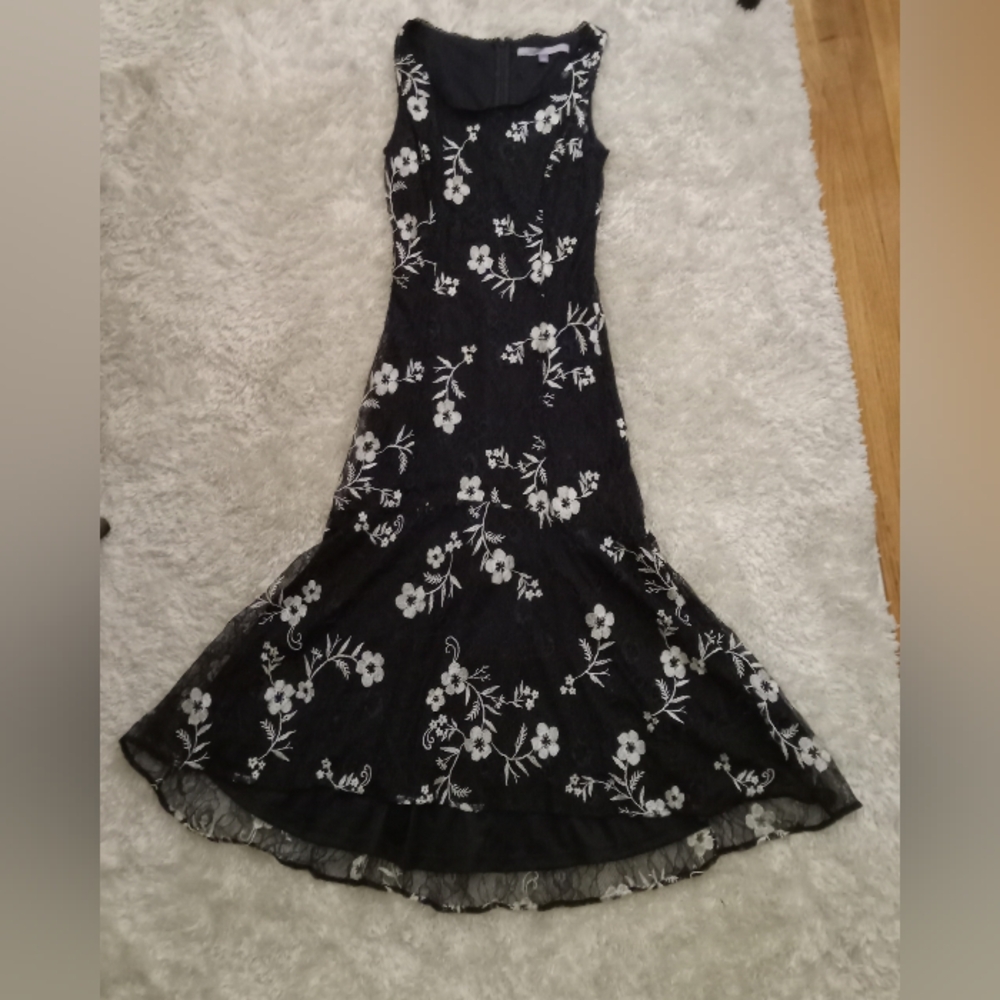 Women's Embroidered Lace Fit & Flare Tank Dress, Size 2